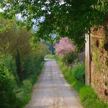 Appartamento Primula Poggibonsi Esterno foto